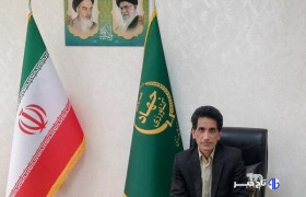 شهرکی: بیش از ۴۶۰۰ تن پسته از باغات زاهدان برداشت شد