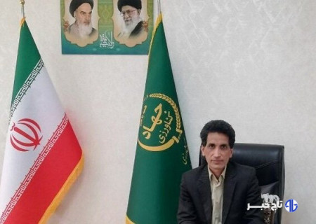 شهرکی: بیش از ۴۶۰۰ تن پسته از باغات زاهدان برداشت شد