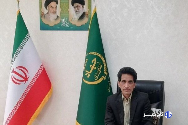 شهرکی: بیش از ۴۶۰۰ تن پسته از باغات زاهدان برداشت شد