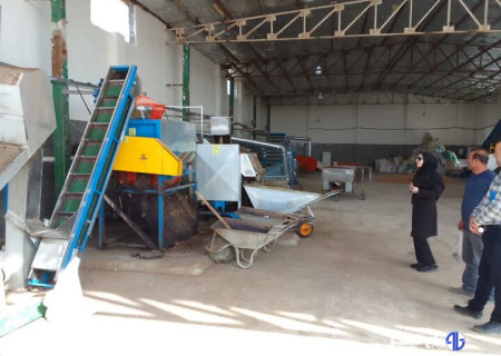 صدور پروانه بهره‌برداری واحد فرآوری پسته در دامغان؛ ۷ نفر شاغل شدند