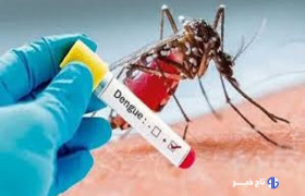 طغیان احتمالی تب دنگی نظام بهداشتی کشور را به چالش می‌کشاند