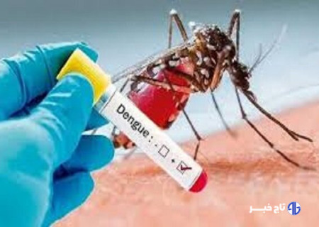 طغیان احتمالی تب دنگی نظام بهداشتی کشور را به چالش می‌کشاند
