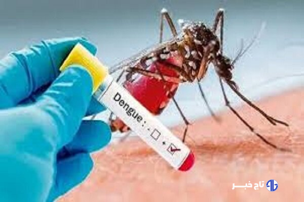 طغیان احتمالی تب دنگی نظام بهداشتی کشور را به چالش می‌کشاند