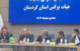 غلامزاده: فدراسیون بوکس با کمترین امکانات در سطح ملی قرار دارد