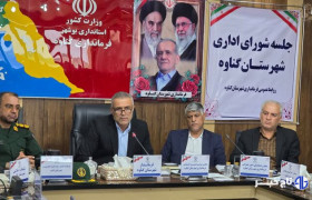 فرماندار گناوه: مدیران ادارات در برگزاری انتخابات شوراها همکاری کنند