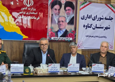 فرماندار گناوه: مدیران ادارات در برگزاری انتخابات شوراها همکاری کنند