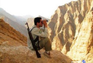محمدی: گشت‌های شبانه محیط زیست سنندج برای مقابله با شکارچیان اجرا شد