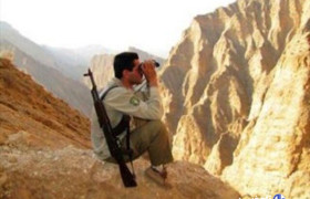 محمدی: گشت‌های شبانه محیط زیست سنندج برای مقابله با شکارچیان اجرا شد