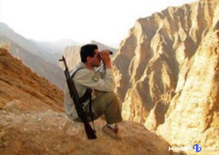 محمدی: گشت‌های شبانه محیط زیست سنندج برای مقابله با شکارچیان اجرا شد