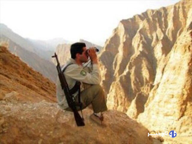 محمدی: گشت‌های شبانه محیط زیست سنندج برای مقابله با شکارچیان اجرا شد