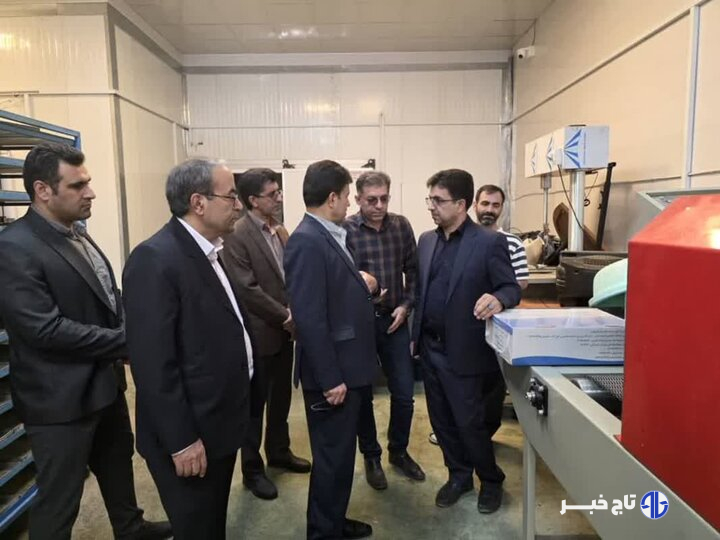 مدیرکل دیوان محاسبات لرستان از مزارع پرورش ماهی سلسله بازدید کرد