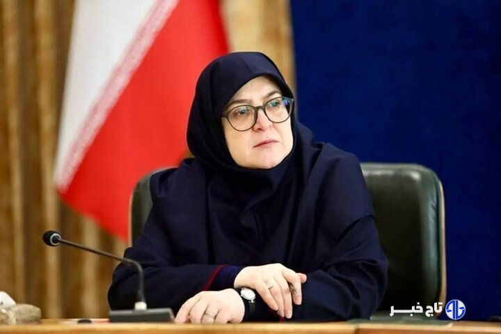مهاجرانی:عبور از ناترازی برق تابستان با کمک مردم، بخش دولتی و خصوصی