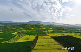 هزار هکتار از اراضی کشاورزی کوهدشت تثبیت شد