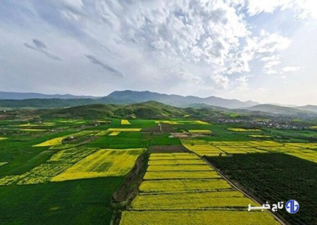 هزار هکتار از اراضی کشاورزی کوهدشت تثبیت شد