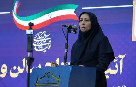 پاکدامن: با نگاه تک بعدی مشکلات فرهنگی رفع نمی شود