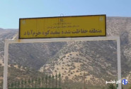 چشمان بیدار سفیدکوه؛ قلعه‌ گونه‌های نادر نگهبان می‌خواهد!