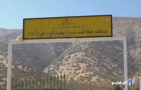 چشمان بیدار سفیدکوه؛ قلعه‌ گونه‌های نادر نگهبان می‌خواهد!