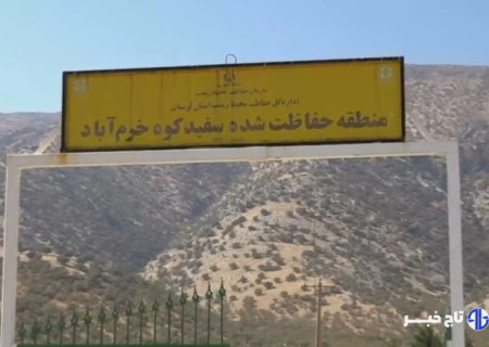 چشمان بیدار سفیدکوه؛ قلعه‌ گونه‌های نادر نگهبان می‌خواهد!