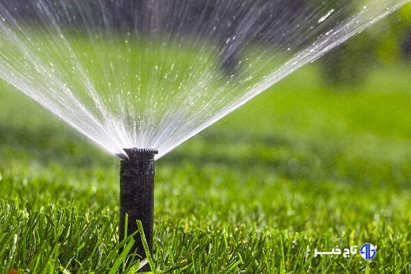 «کم آبی» پایان قصه نیست؛ آبیاری قطره‌ای آغاز یک تحول