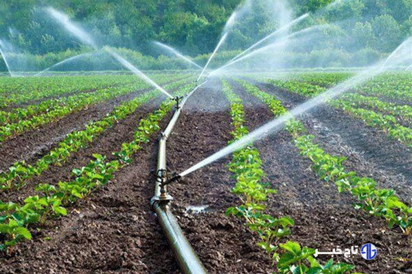 «کم آبی» پایان قصه نیست؛ آبیاری قطره‌ای آغاز یک تحول