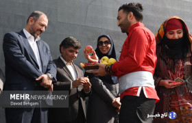 گرامیداشت روز ملی روستا و عشایر در آرامگاه فردوسی برگزار شد