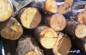 ۲ تن چوب فاقد مجوز در پلدختر کشف شد