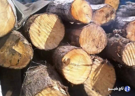 ۲ تن چوب فاقد مجوز در پلدختر کشف شد