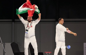 مهدی وظیفه به مدال طلا MMA رسید