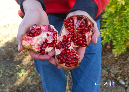 یاقوت باران انارستان در پاییز سرخ لرستان