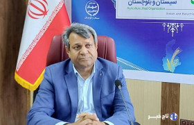 آغاز کشت ۴۸ هزار هکتاری محصولات اساسی در استان سیستان و بلوچستان