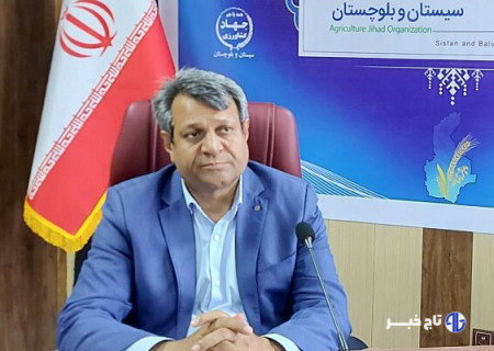 آغاز کشت ۴۸ هزار هکتاری محصولات اساسی در استان سیستان و بلوچستان