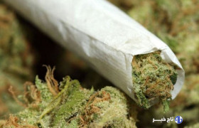 از گل تا کمیکال؛ مخدرهایی که ذهن و بدن را میسوزانند