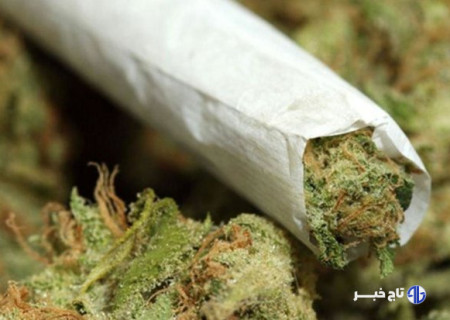 از گل تا کمیکال؛ مخدرهایی که ذهن و بدن را می‌سوزانند