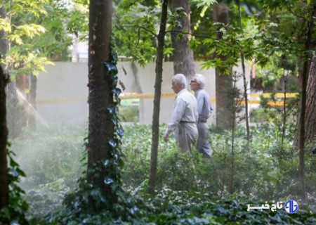 اشتغال بازنشستگان در تاکسی‌های اینترنتی قانونی می‌شود