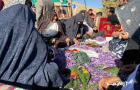 برگزاری جشن شکرگزاری برداشت زعفران در روستای گردشگری مهوید
