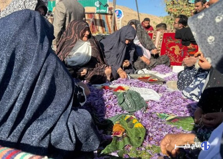 برگزاری جشن شکرگزاری برداشت زعفران در روستای گردشگری مهوید