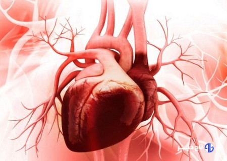 تاثیر محافظتی ورزش بر قلب زنان بیشتر است