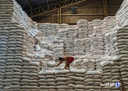 توزیع ۹۵۴ تُن برنج تنظیم بازاری در استان قزوین