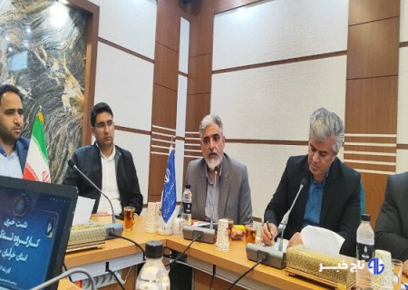 حسینی: تولید مرغ و تخم‌مرغ در خراسان جنوبی ۳ برابر نیاز است