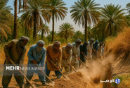 حشر و مدد؛ سنت‌ زیبای همدلی کشاورزان بلوچستان و بلوچستان
