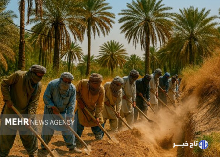 حشر و مدد؛ سنت‌ زیبای همدلی کشاورزان بلوچستان و بلوچستان