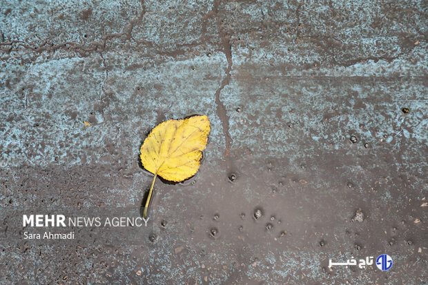 رحمان نیا: هشدار زرد هواشناسی در زنجان برای هفته آینده صادر شد
