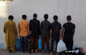 سرهنگ نواب زاده: ۲۴۰ نفر اتباع بیگانه غیرمجاز در زابل جمع آوری شد