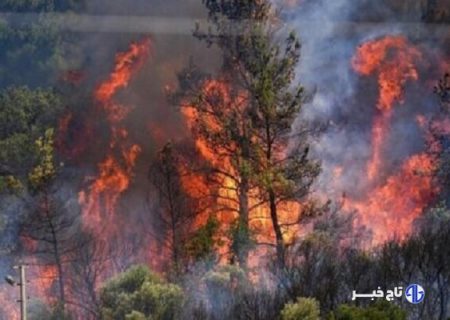 سوختن مجدد برگ‌های پاییزی، شائبه آتش‌سوزی جنگل دیزمار را ایجاد کرد