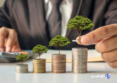 شرط موفقیت طرح رویش وزارت اقتصاد اعتمادسازی است