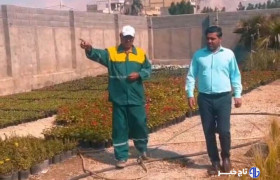 شهردار کنگان: خودکفایی گلخانه‌ای برای توسعه پایدار شهری ضروری است