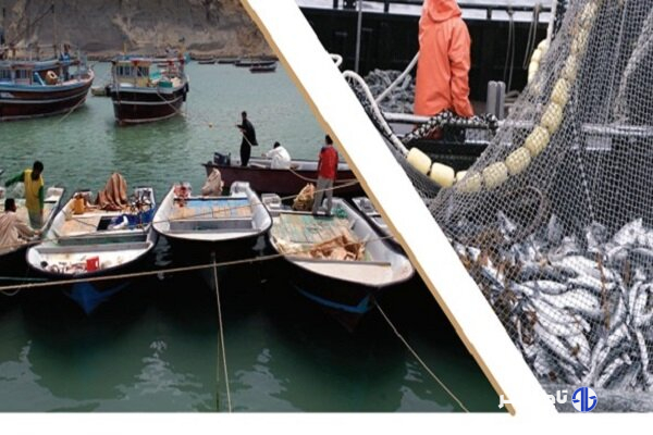 شیلات چابهار؛ موتور محرک اقتصاد دریامحور جنوب شرق ایران