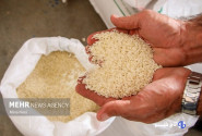 عدم ترخیص برنج از گمرکات؛ علت افزایش قیمت در سیستان و بلوچستان