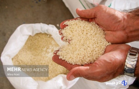 عدم ترخیص برنج از گمرکات؛ علت افزایش قیمت در سیستان و بلوچستان