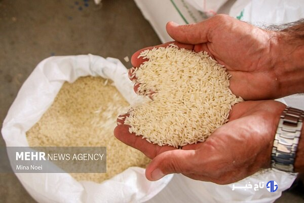 عدم ترخیص برنج از گمرکات؛ علت افزایش قیمت در سیستان و بلوچستان